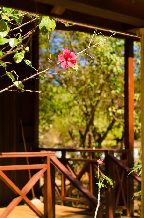 Olympe De Bemaraha Hotel Bekopaka Ngoại thất bức ảnh