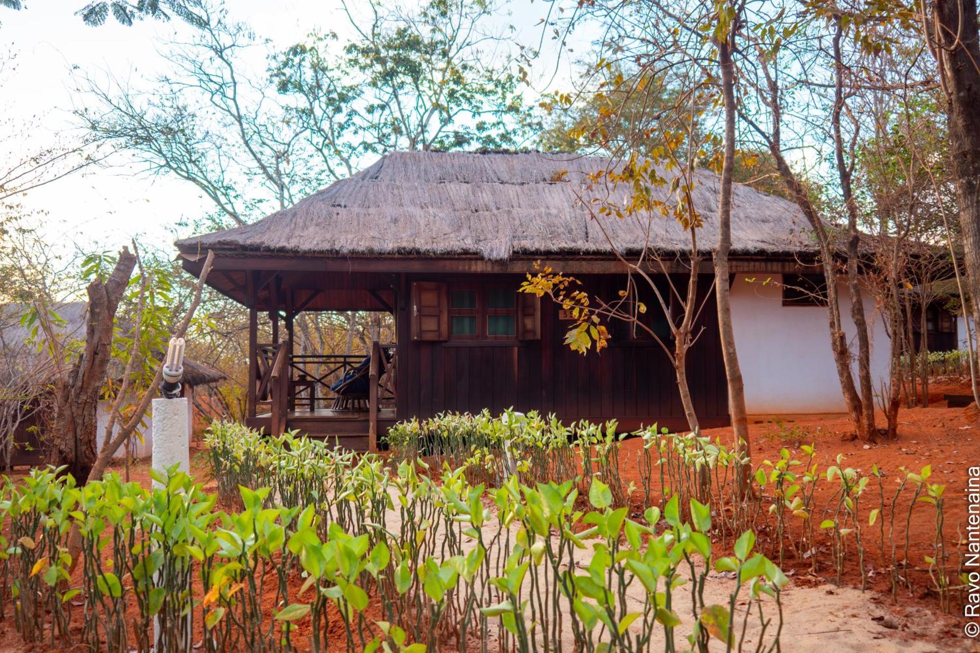 Olympe De Bemaraha Hotel Bekopaka Ngoại thất bức ảnh
